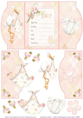 Baby Girl Announcement - Mini Gatefold