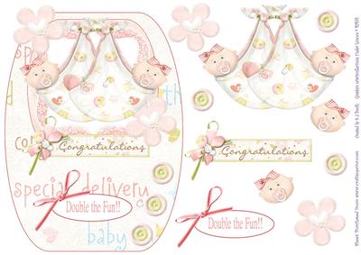 Twin Girls - Double the Fun!!