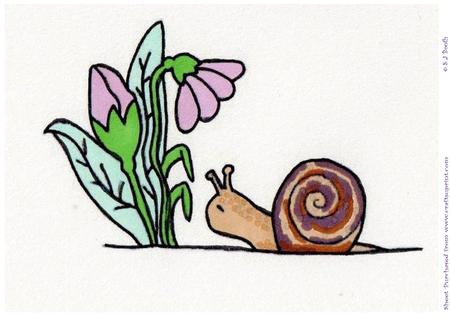 Simply Snail