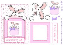 Bunny Boottee Pink New Baby Girl Card