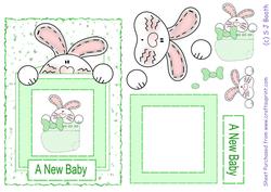 New Baby Bunny in a Boottee Bunny Card - Green