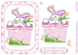Bunny in a Pot with Flowers Mothers Day Card Front