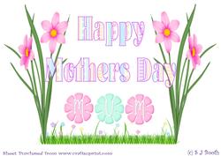 Large Mothers Day Flowers