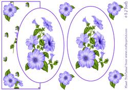 Purple Petunia