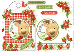 Believe Shaped Card Front