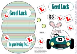 Driving Test Good Luck 3D Mini Stepper