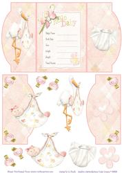 Baby Girl Announcement - Mini Gatefold