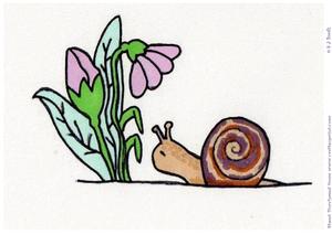 Simply Snail