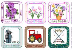 Male and Female Birthday Toppers