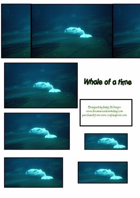 Whale of a Time