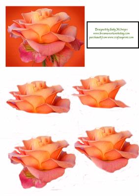 Apricot and Almond