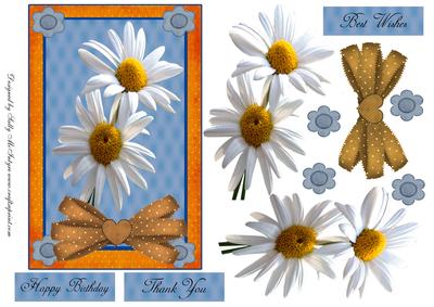 Daisy a Day Happy Birthday Thank You Best Wishes