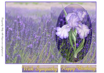 Lavender and Iris Purple Haze