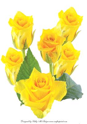 A4 Yellow Roses