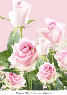 A4 a Rose by Any Other Name Pale Pink