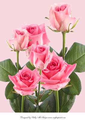 A4 Pretty Roses