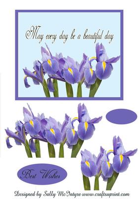 Best Wishes May Every Day Be a Beautiful Day