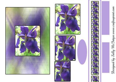 Iris Magic with Ribbon Add Your Own Greeting