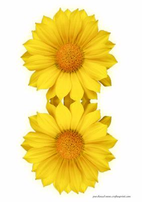 Daisy Shaped Card