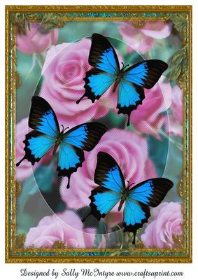 A4 Butterflies in Summer