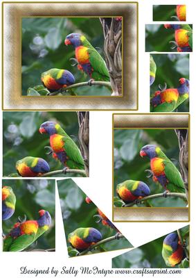 Australiana Series Lorikeet Heaven