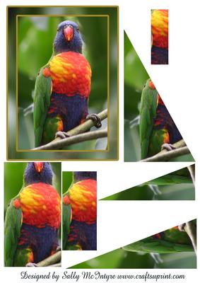 Birds in the Forest