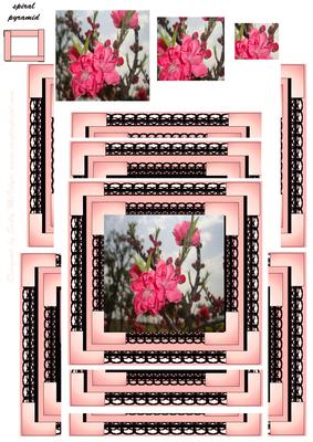 Spiral Pyramid Flowers of Spring