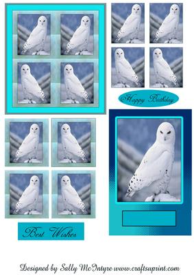 Owl of a Time Happy Birthday Best Wishes