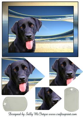 Black Labrador Pyramid