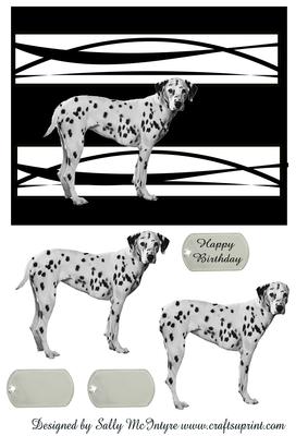 Dalmation in Black and White Happy Birthday and Blank