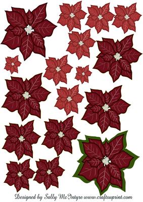 Build Your Own Poinsettia