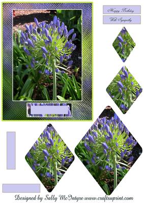 Purple Floral Diamond Pyramid Hapy Birthday with Sympathy A