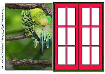Through My Window Our Feathered Friends