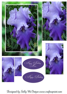 Happy Birthday Happy Birthday Mum Irises Purple