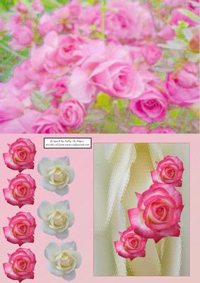 Roses for Your Special Ladies