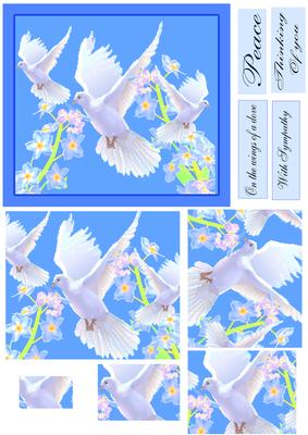 On the Wings of a Snow White Dove