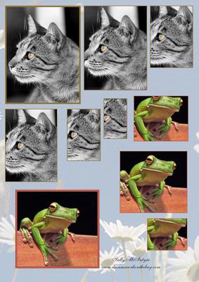 Pussy Cats and Frogs So Cute Pyramid