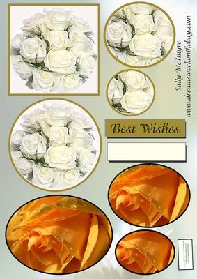 White and Apricot Roses