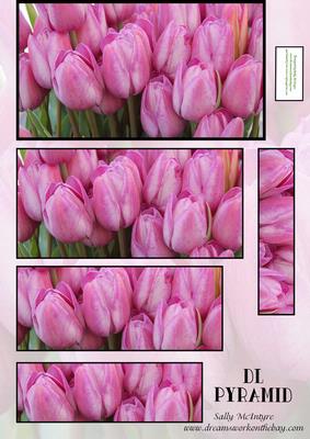 Tulips in the Pink Dl Card