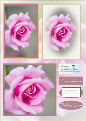 Beautiful Rose in Bloom This is One of My Favourite Cards
