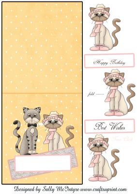 Cat Card , Look for the Pop Up Card Centre to Suit This Card