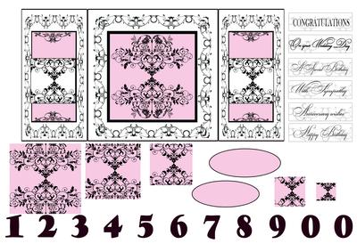 Special Occasions in Pink Black and White Minimal Ink Maxim