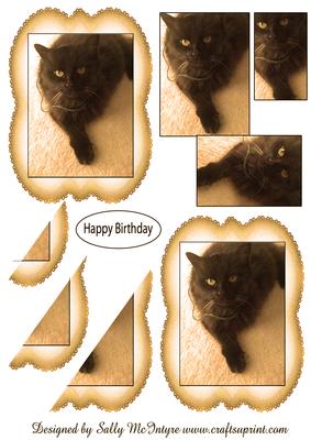 Flower the Cat 2 Card Sheet