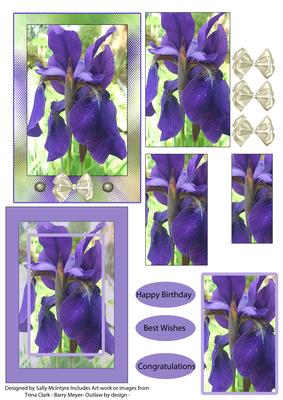 Purple Irises 2 Card Sheet