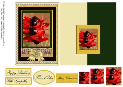 Australian Sturt Desert Pea Multiple Greetings or Add Your O
