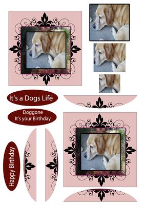 Labrador Its a Dogs Life Doggone Its Your Birthday Happy Bir