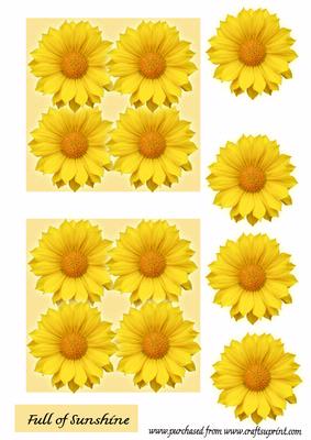 Full of Sunshine