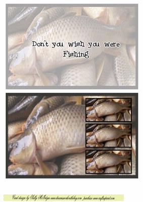 Dont You Wish You Were Fishing