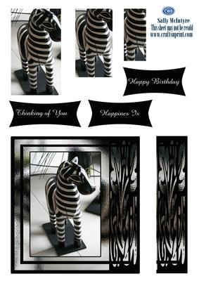 Zebra Mania Thinking of You Happy Birthday Happiness Is.