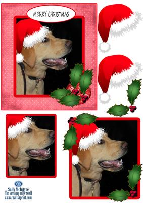 Guide Dogs Christmas.merry Christmas